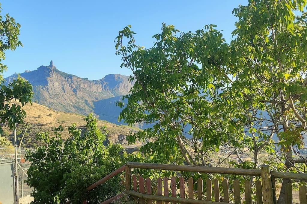 Appartamento La Cabanita Las Palmas de Gran Canaria Esterno foto